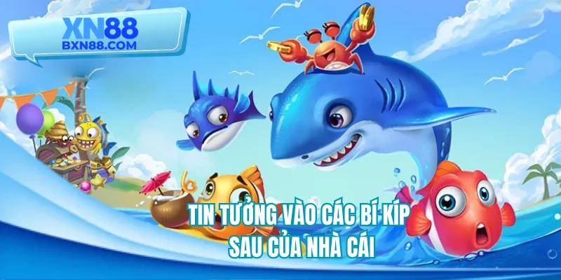 Tin tưởng vào các bí kíp sau của nhà cái