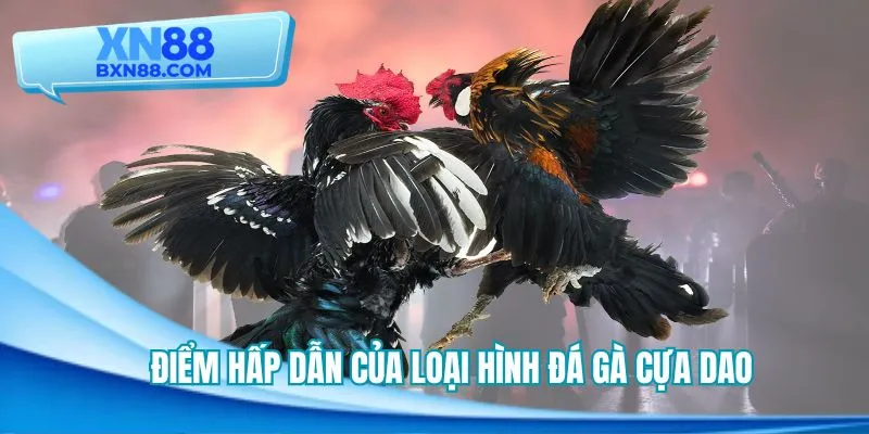 Điểm độc đáo giúp loại hình cựa dao trở nên thịnh hành